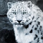 James Cassar - @james.cassar - Instagram