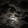 James Stevens - @jamesstevens256 - TikTok