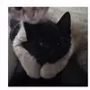 James Catchpole ✝️ - @james.catchpole - TikTok