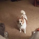 James Cates - @james.cates.148553 - Instagram