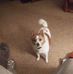 James Cates - Facebook