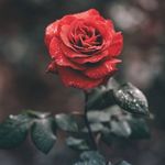 James Catron - @jamescatron5211 - Instagram