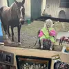 james.cavanaugh - @james.cavanaugh - TikTok
