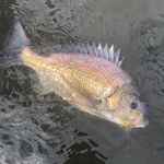 James Caves - @bermi_fly - Instagram