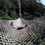 James Cea - @cea.james0420 - Instagram