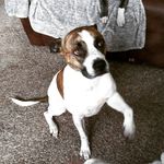James chaisson - @jamescchaisson - Instagram