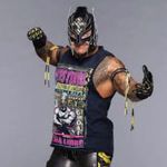 Jameschattin - @rey_mysterio_mexican_amigo - Instagram