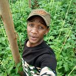 James chege - @chege137 - Instagram