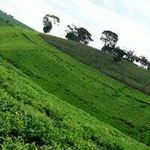 James Kamanja Chege - @jameskamanja - Instagram