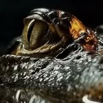 James Cheney - @cheneyimages - Instagram