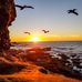 James Cheney Photography - Facebook
