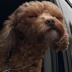James Chojnacki - @_jameschojnacki_ - Instagram