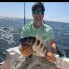 James Chronis - @jameschronis3 - TikTok