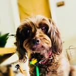 James Chronis - @james_chronis - Instagram