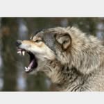 James - @james_chugg - Instagram