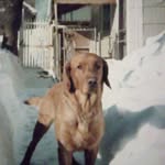 James Chunn - @chunn1030 - Instagram