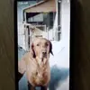 James Chunn - @james.chunn - TikTok