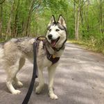 James Cirillo - @jamescirillo - Instagram
