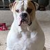 James Cissell - Facebook