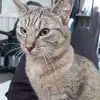 jamesclaridge3 - @diefasteatgrass - TikTok