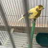 James Clasby - @jamesclasby_2976 - TikTok