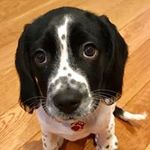 James Cleverly - @james.cleverly.14 - Instagram