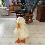 James & Clover - @clovers_acre - Instagram