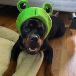 Clovis James - @clovis_james_ - Instagram