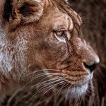 Jamesclovis Das - @dasjamesclovis - Instagram