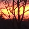 jamesclutter89 - @james.clutter5 - TikTok