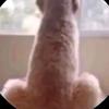 Cobey Edmunds - @james_cobey23 - TikTok