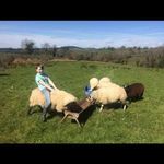 James Cobey - @jamescobey - Instagram