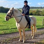 James Cocking - @jamesc98 - Instagram