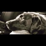 James M Cocroft - @groovy2you - Instagram