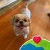 James Coda Kerschbaum - Facebook