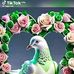 James Colas - Facebook