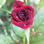 james colaso - @james.colaso - Instagram