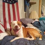 James Colbert - Facebook