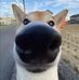 James Colclasure - Facebook