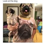 james collier - @jamesjamesdude - Instagram
