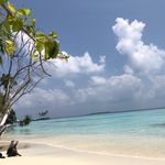 James Collingwood - @collingwoodm - Instagram