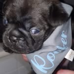 James R Combe - @james.combe.81 - Instagram
