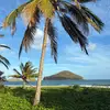 jamesRCombe - @jamesrcombe - TikTok