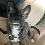 james conaghan - @james_conaghan103 - Instagram