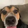 james - @james.conaghan - TikTok