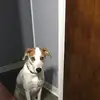 James Conklin - @james.conklin20 - TikTok