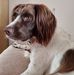 James Connelly - Facebook