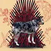 constantine_james - @constantine_james - TikTok