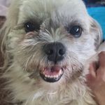James - @james.cooley - Instagram