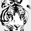 James Coonrod - @james.coonrod - TikTok